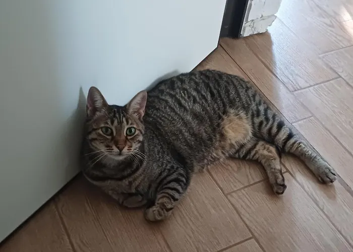 Al Sogno Di LauraBed and Breakfast